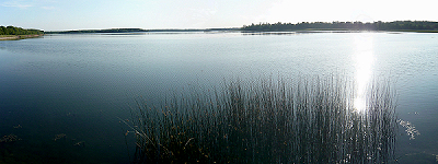 Etang de Gondrexange