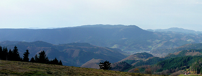 Naturpark Nordschwarzwald