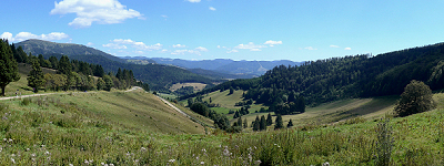 Südschwarzwald bei Badenweiler