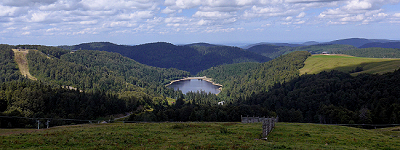 Schwarzwald und Vogesen