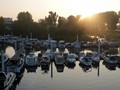 Die Marina von Chalon-sur-Saone