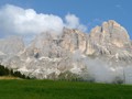 Blick auf den Rosengarten