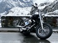 Die Harley Softail von Frank