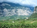 Durch die Weinberge am Kalterer See