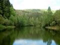 Auf der Seerosen-Tour - wo sind die Seerosen?