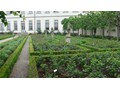 Der Rosengarten hinter der Staatsbibliothek